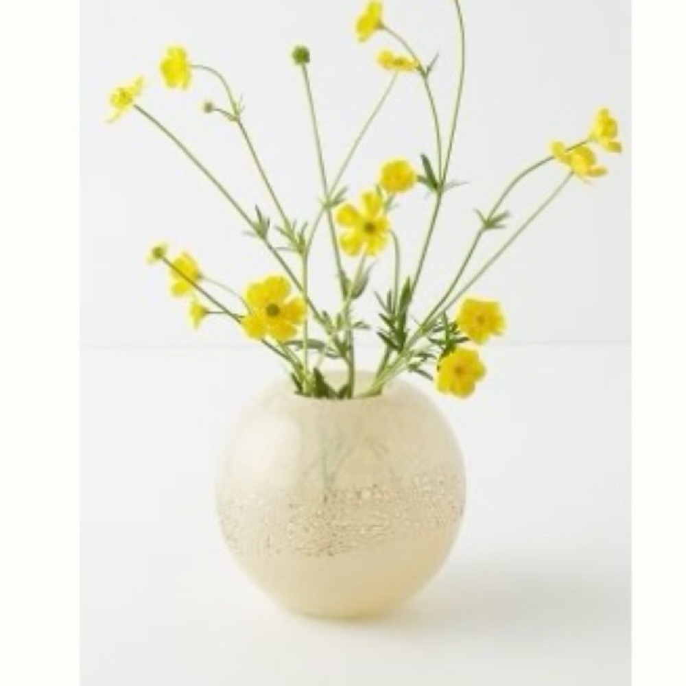 Iman Vase from Anthropologie